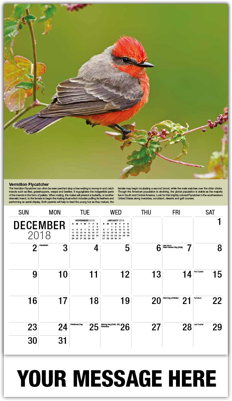 Gardeners supply coupon codes